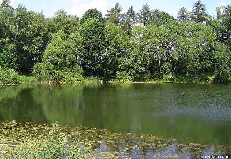 Am R&ouml;stesee