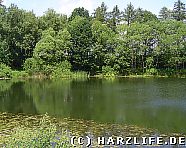 Am R&ouml;stesee