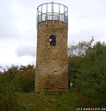 Der Austbergturm auf dem Austberg