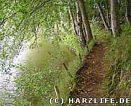 Wanderweg am Opfersee