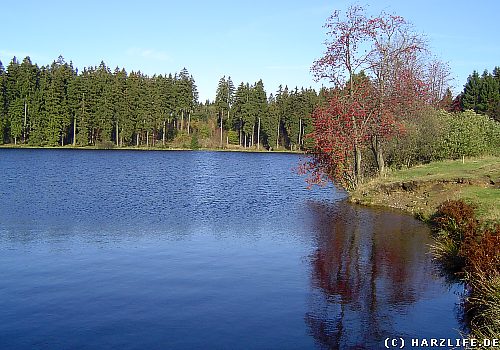 Am Hasenbacher Teich Der Hasenbacher Teich