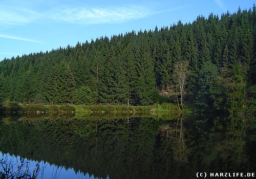 Blick über den Klein-Clausthaler Teich in Richtung Damm Der Klein-Clausthaler Teich