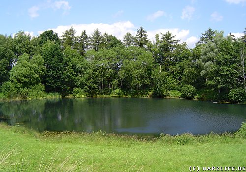 Der R&ouml;stesee bei Liebenrode