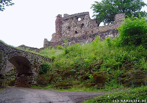 Blick auf die Burgruine