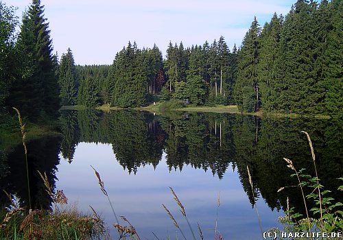 Blick über den Unteren Hahnebalzer Teich Der Untere Hahnebalzer Teich