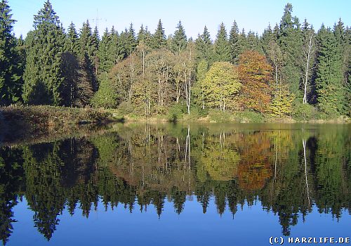 Blick auf den Unteren Kellerhalsteich Der Untere Kellerhalsteich im Herbst