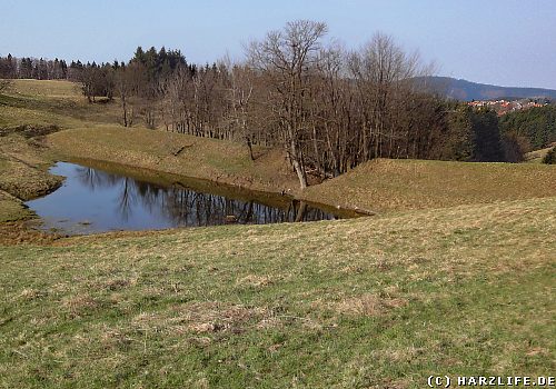 Der B&auml;rener Teich