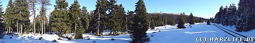 Blick vom Goetheweg zum Brocken
